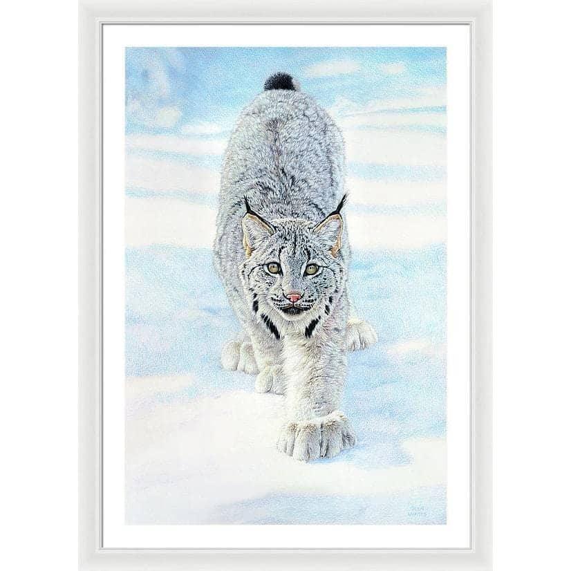 Stalking Lynx - Framed Print | Artwork by Glen Loates