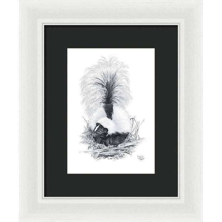 Striped Skunk - Framed Print | Artwork by Glen Loates