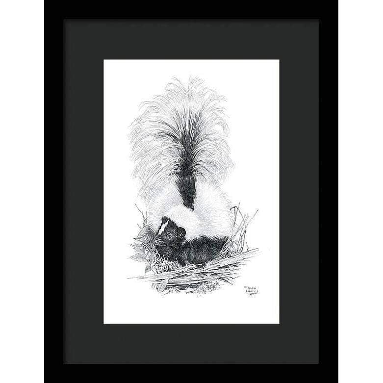 Striped Skunk - Framed Print | Artwork by Glen Loates