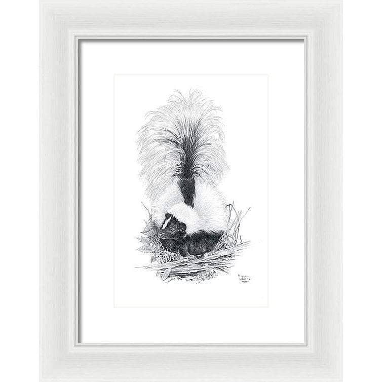 Striped Skunk - Framed Print | Artwork by Glen Loates