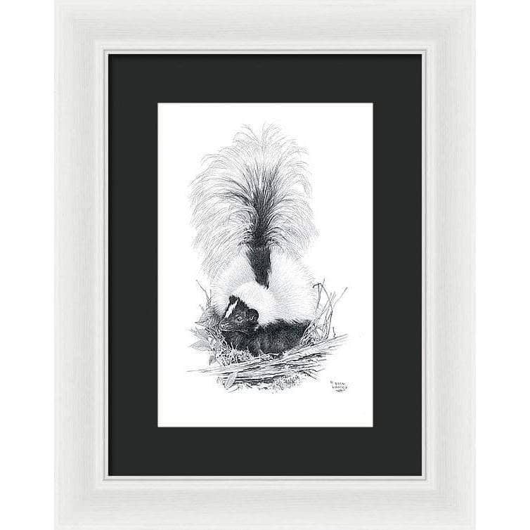 Striped Skunk - Framed Print | Artwork by Glen Loates
