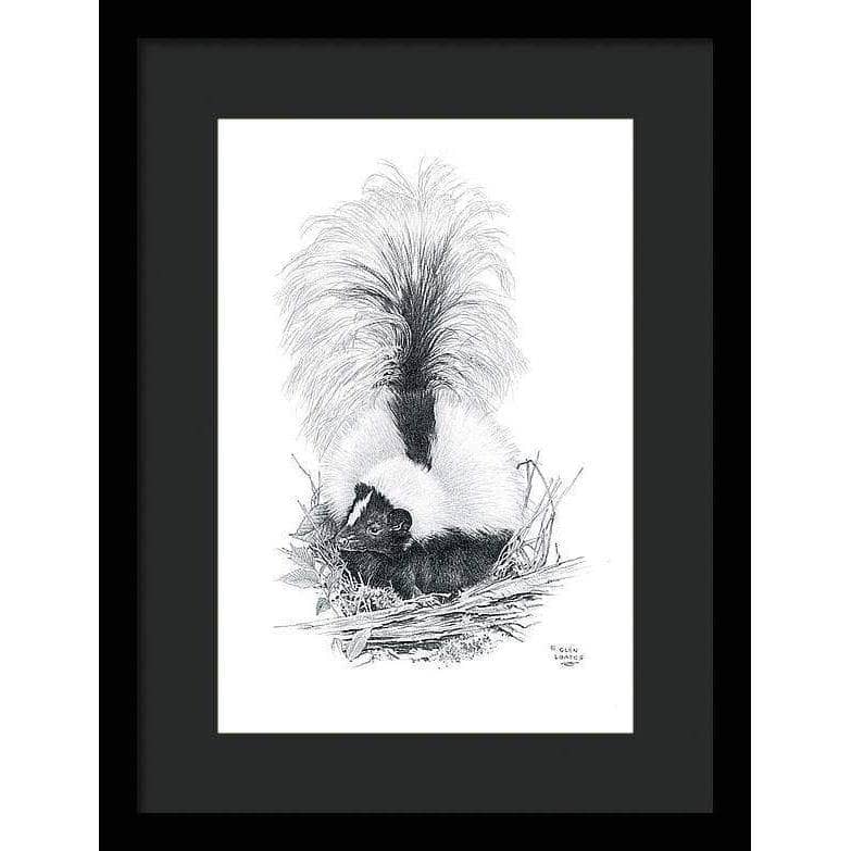 Striped Skunk - Framed Print | Artwork by Glen Loates