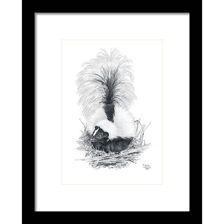 Striped Skunk - Framed Print | Artwork by Glen Loates