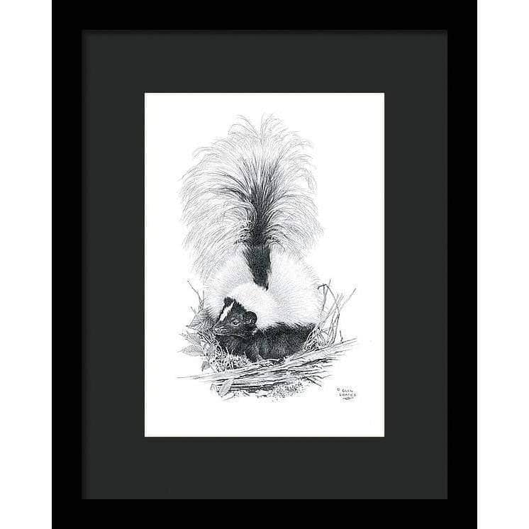 Striped Skunk - Framed Print | Artwork by Glen Loates