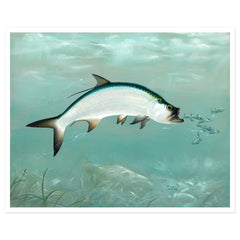 Giclée on Paper
