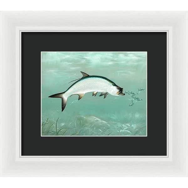 Tarpon - Framed Print | Artwork by Glen Loates