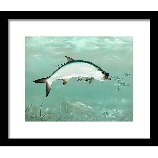 Tarpon - Framed Print | Artwork by Glen Loates