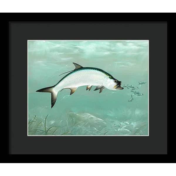 Tarpon - Framed Print | Artwork by Glen Loates