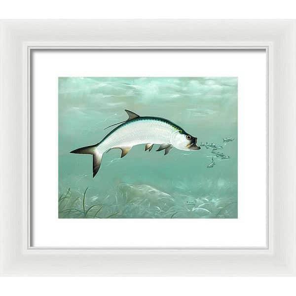 Tarpon - Framed Print | Artwork by Glen Loates
