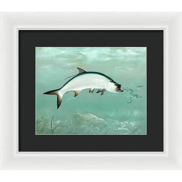 Tarpon - Framed Print | Artwork by Glen Loates