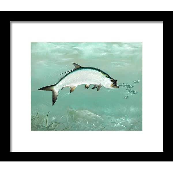 Tarpon - Framed Print | Artwork by Glen Loates