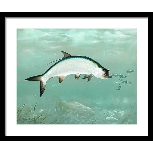 Tarpon - Framed Print | Artwork by Glen Loates