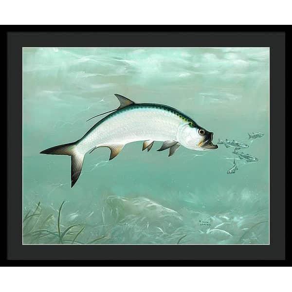 Tarpon - Framed Print | Artwork by Glen Loates