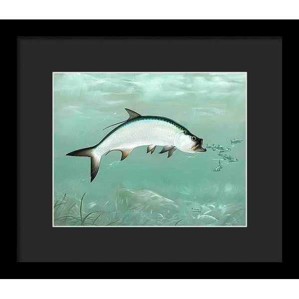 Tarpon - Framed Print | Artwork by Glen Loates