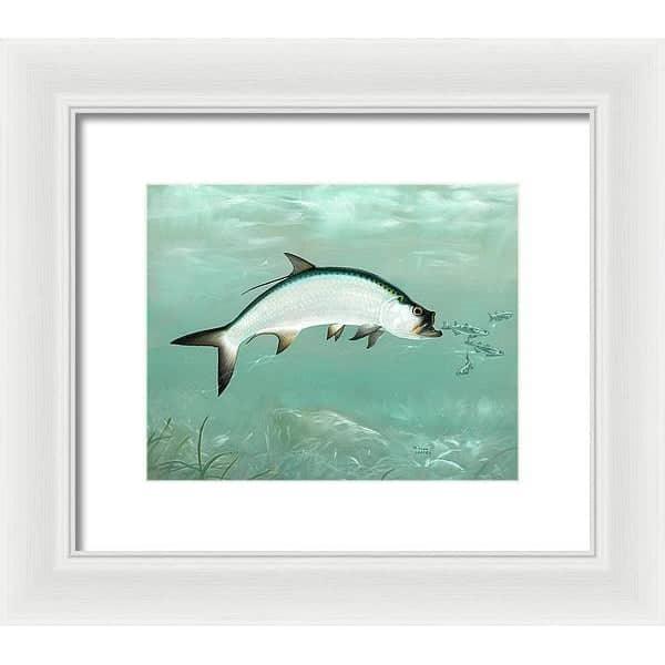 Tarpon - Framed Print | Artwork by Glen Loates