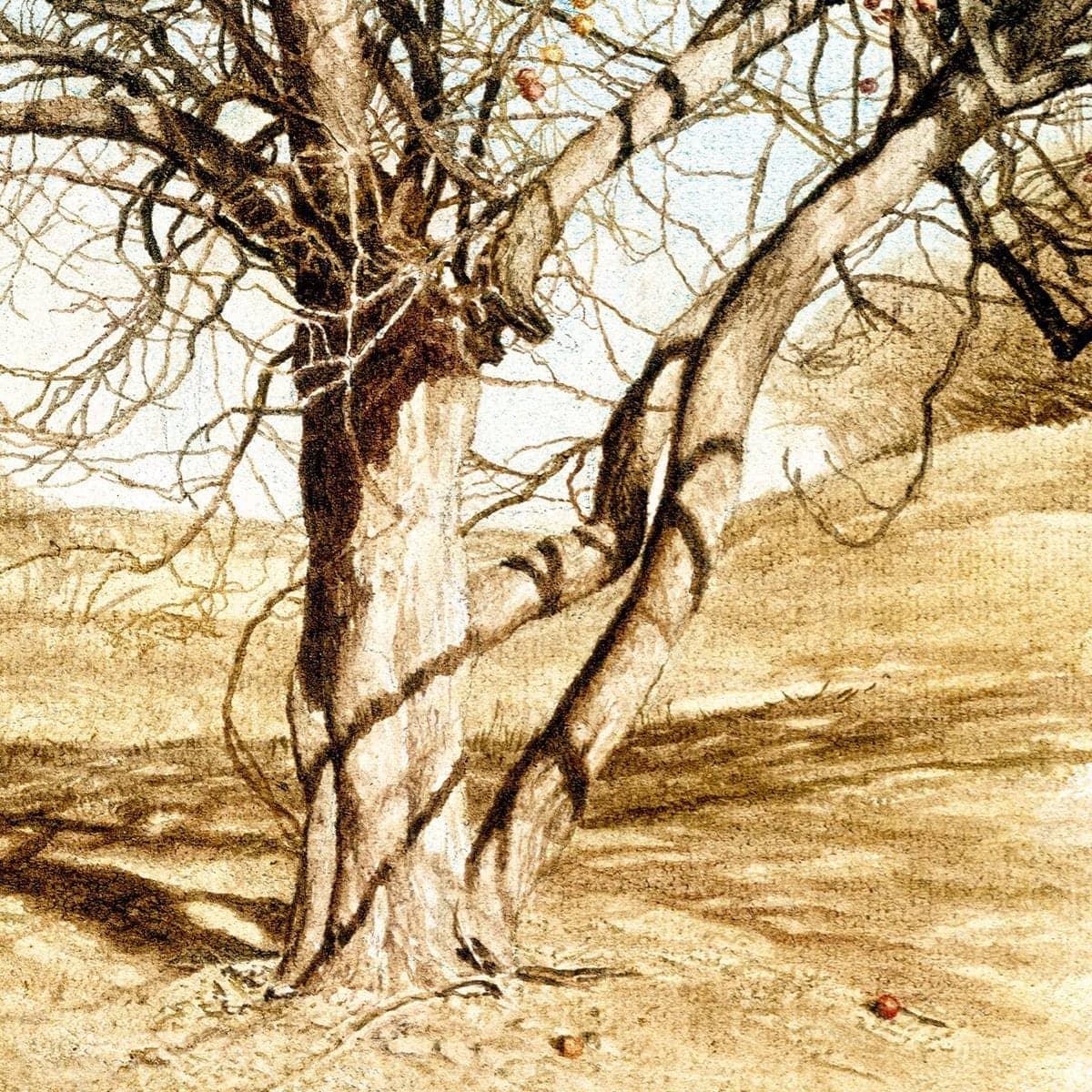The Apple Orchard - Art Print | Artwork by Glen Loates