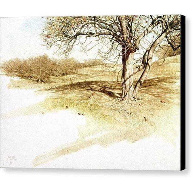 The Apple Orchard - Canvas Print | Artwork by Glen Loates