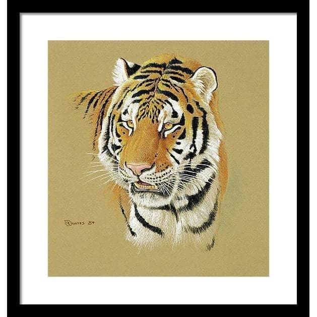 Tiger Portrait - Framed Print | Artwork by Glen Loates