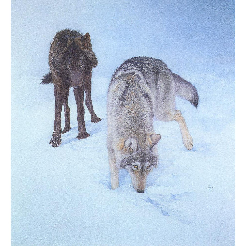 Tracking The Scent - Art Print | Artwork by Glen Loates