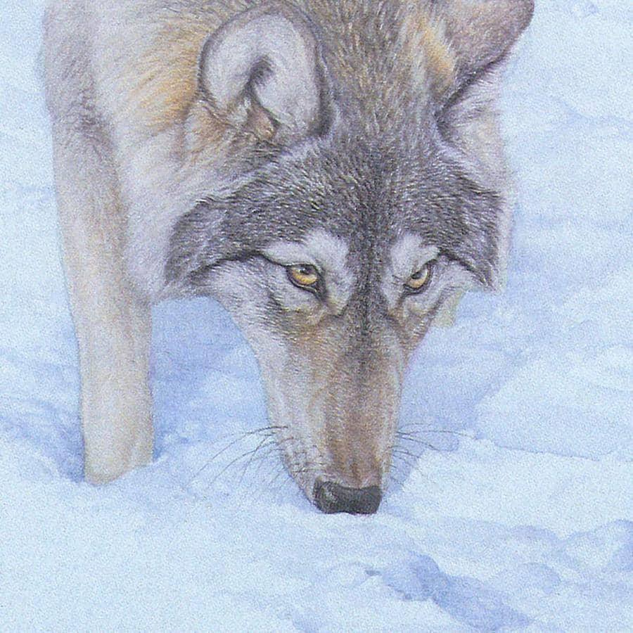 Tracking The Scent - Canvas Print | Artwork by Glen Loates