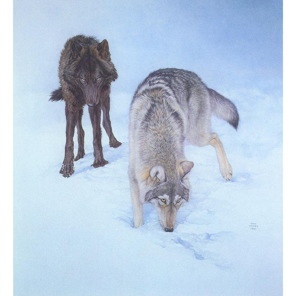 Tracking The Scent - Canvas Print | Artwork by Glen Loates