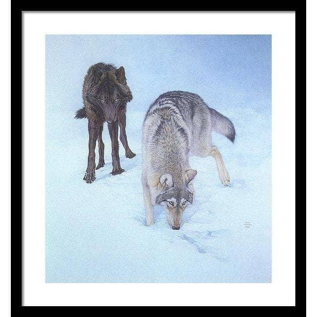 Tracking The Scent - Framed Print | Artwork by Glen Loates