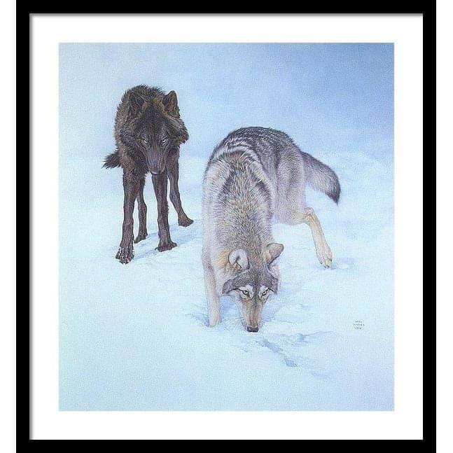 Tracking The Scent - Framed Print | Artwork by Glen Loates