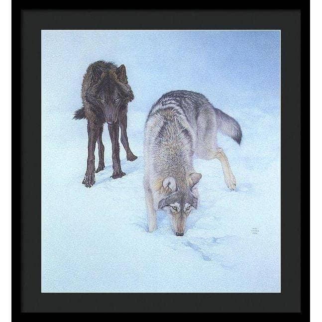 Tracking The Scent - Framed Print | Artwork by Glen Loates