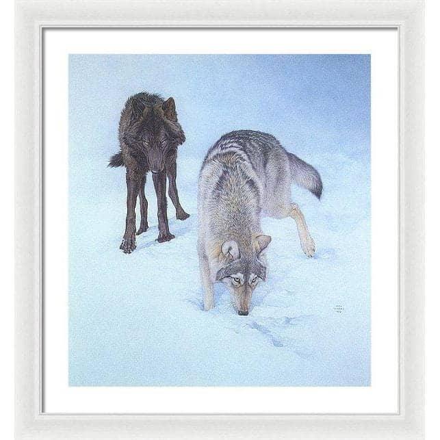 Tracking The Scent - Framed Print | Artwork by Glen Loates