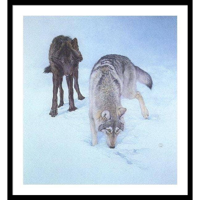 Tracking The Scent - Framed Print | Artwork by Glen Loates
