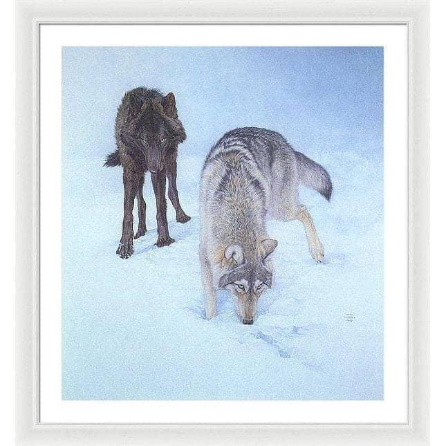Tracking The Scent - Framed Print | Artwork by Glen Loates