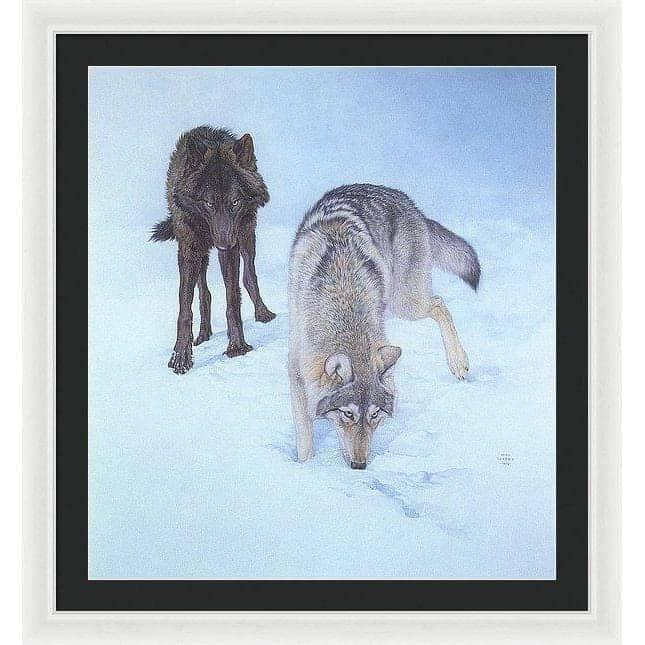 Tracking The Scent - Framed Print | Artwork by Glen Loates