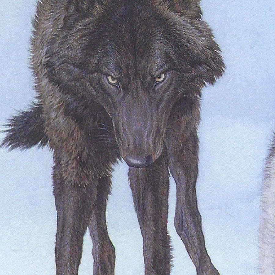 Tracking The Scent - Framed Print | Artwork by Glen Loates