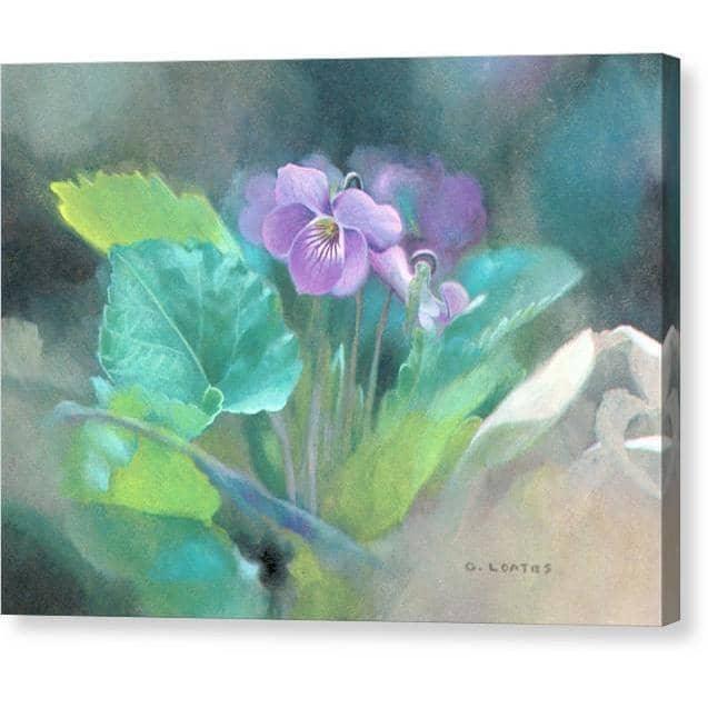 Violet - Canvas Print | Artwork by Glen Loates