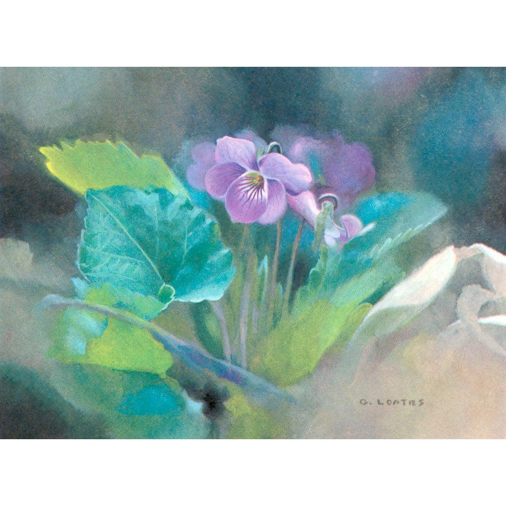 Violet - Canvas Print | Artwork by Glen Loates