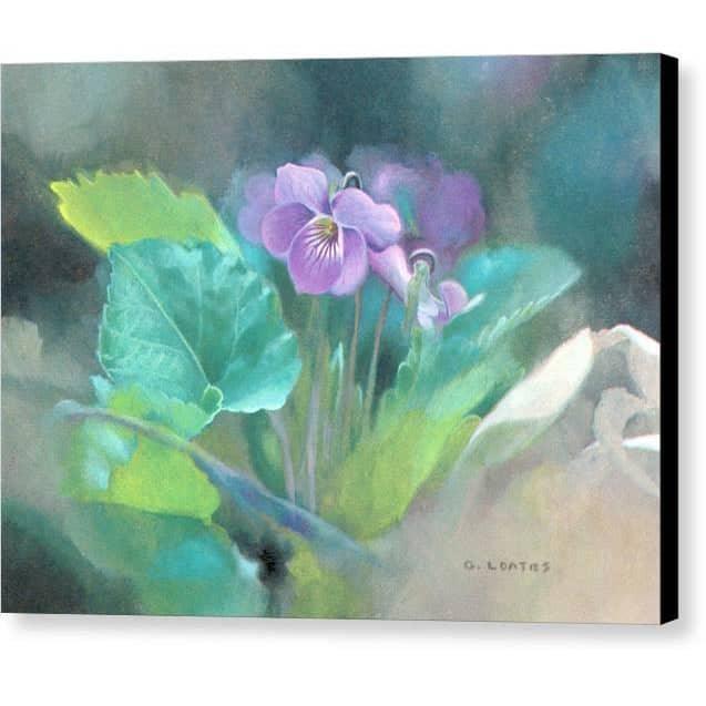 Violet - Canvas Print | Artwork by Glen Loates