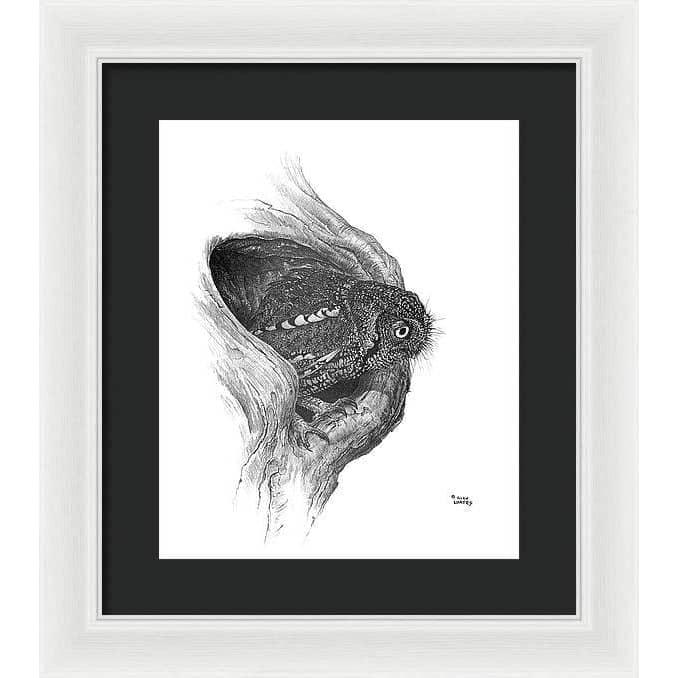 Whiskered Owl - Framed Print | Artwork by Glen Loates