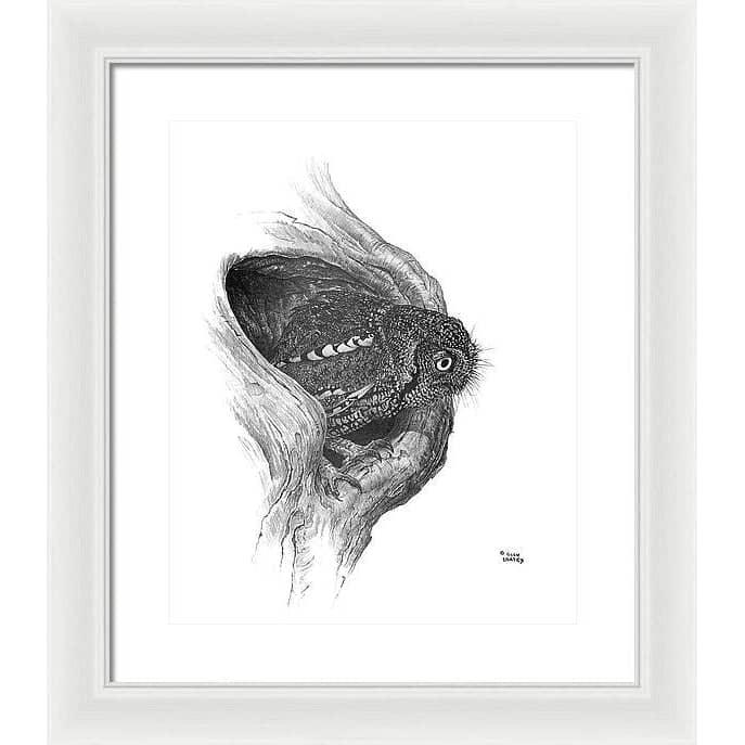 Whiskered Owl - Framed Print | Artwork by Glen Loates