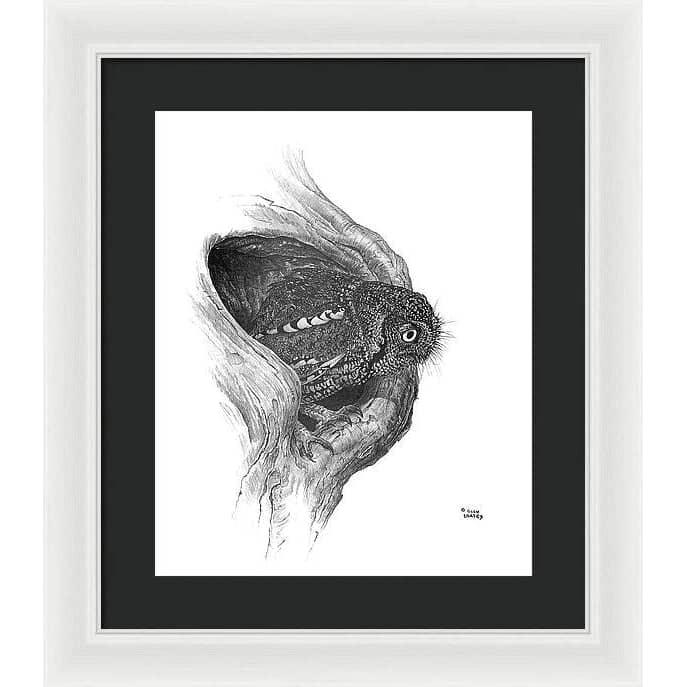 Whiskered Owl - Framed Print | Artwork by Glen Loates
