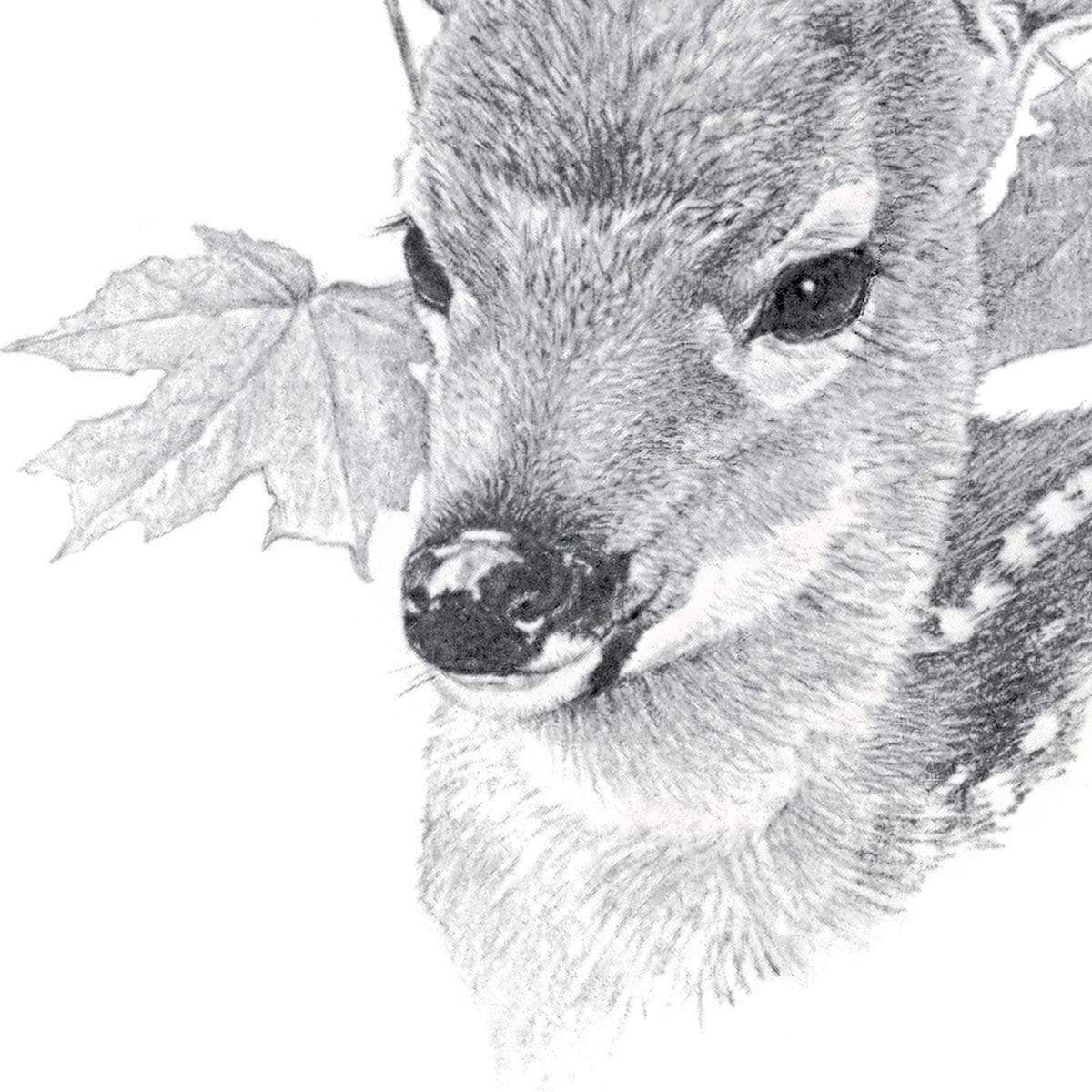 White Tailed Deer Fawn Portrait - Canvas Print | Artwork by Glen Loates