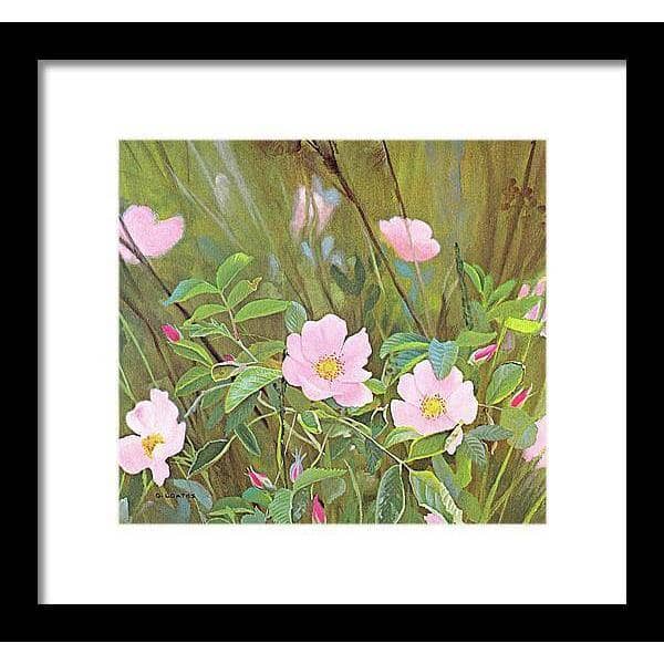 Wild Roses - Framed Print | Artwork by Glen Loates