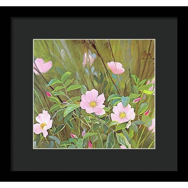 Wild Roses - Framed Print | Artwork by Glen Loates