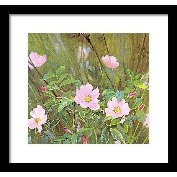 Wild Roses - Framed Print | Artwork by Glen Loates