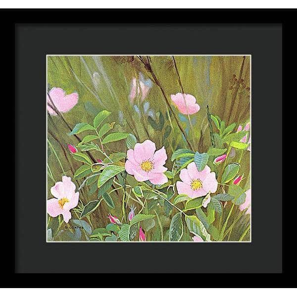 Wild Roses - Framed Print | Artwork by Glen Loates