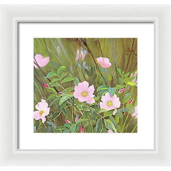 Wild Roses - Framed Print | Artwork by Glen Loates