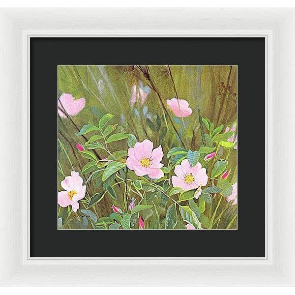 Wild Roses - Framed Print | Artwork by Glen Loates