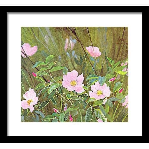 Wild Roses - Framed Print | Artwork by Glen Loates