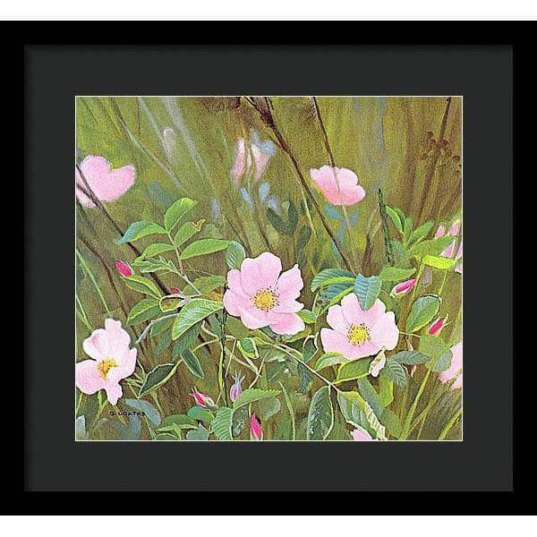 Wild Roses - Framed Print | Artwork by Glen Loates