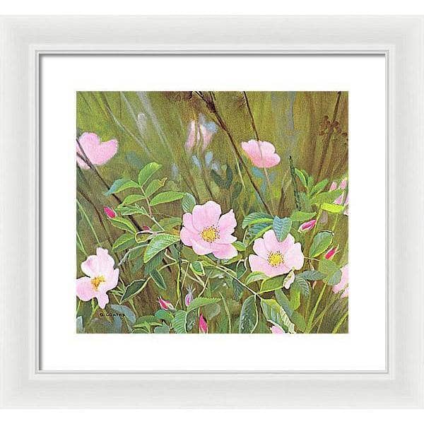 Wild Roses - Framed Print | Artwork by Glen Loates