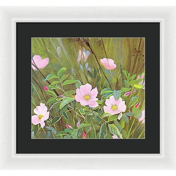 Wild Roses - Framed Print | Artwork by Glen Loates